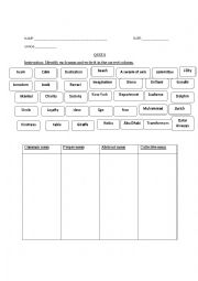 English Worksheet: Nouns