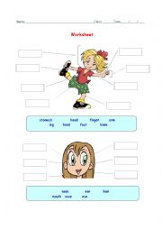 English Worksheet: body