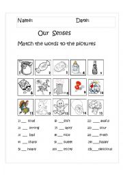 English Worksheet: Our senses