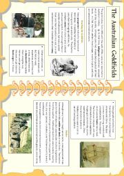 English Worksheet: The Australian Goldfields