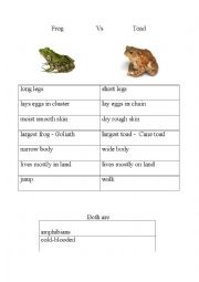 Frog vs Toad