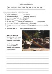 English Worksheet: Revision of Auxiliary Verbs 