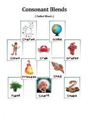 English Worksheet: Consonant Blends (Initial Blends)