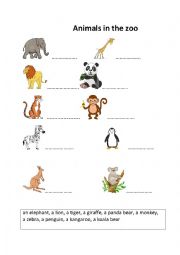 English Worksheet: Animals in the zoo