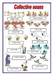 English Worksheet: COLLECTIVE NOUNS