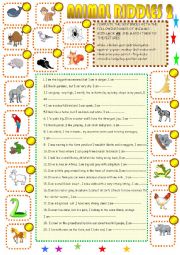 English Worksheet: Animal riddles2