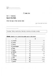 English Worksheet: basic vocabulary+ basic grammar