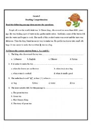 English Worksheet: Reading Comprehension