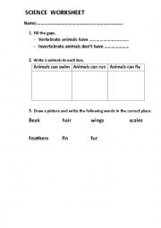 English Worksheet: Animals and Plants