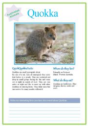 English Worksheet: Quokkas