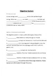 English Worksheet: Digestive System