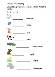English Worksheet: Animals Spelling Worksheet