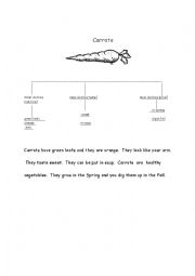 English Worksheet: Writing a short pararagraph