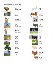 English Worksheet: On the farm