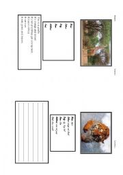 English Worksheet: animal description