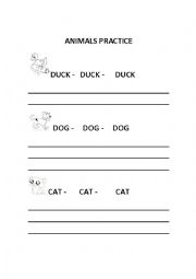 English Worksheet: Animals Practice