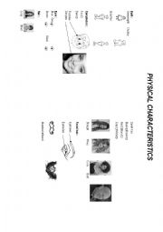 English Worksheet: Physical description