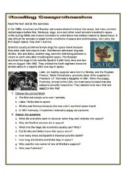 English Worksheet: Reading Comprehension