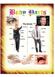 English Worksheet: body parts