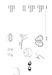English Worksheet: Head Shoulders Knees and tous
