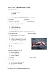 English Worksheet: 