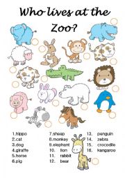 English Worksheet: Who lives at the Zoo