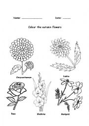 English Worksheet: Autumn Flowers