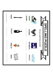 English Worksheet: spelling puzzle