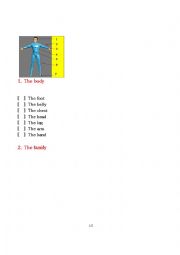 English Worksheet: Vocab Practice (Body/Family)
