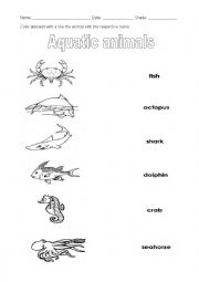 Aquatic animals