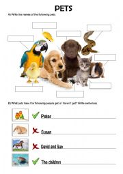 English Worksheet: Pets