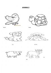 English Worksheet: animals vocabulary