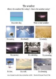 English Worksheet: The weather flash-card