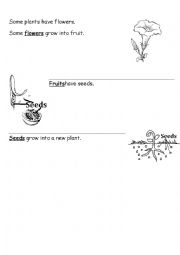 Plant Parts functions for grade 1