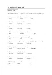 English Worksheet: B1 Level end course test