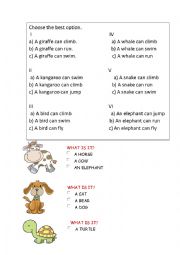 English Worksheet: Animals vocabulary and abilities
