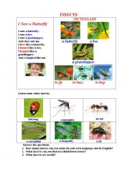 English Worksheet: Insects (a short illustrated poem + questions)
