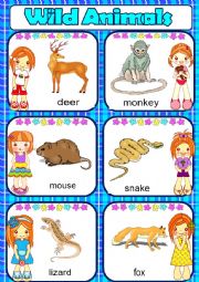 English Worksheet: Wild animals-part2