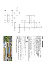 ANIMALS AND HABITATS CROSSWORD