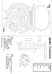 English Worksheet: Halloween activities