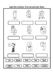 English Worksheet: Numbers Worksheet