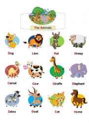 English Worksheet: The Animals