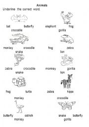 English Worksheet: Animals. Vocabulary
