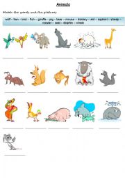 English Worksheet: Animals
