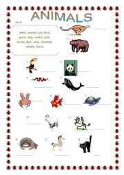 English Worksheet: Animals matching, superlative adjectives crossword 2 pages