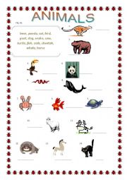 Animals matching, superlative adjectives crossword 2 pages