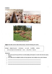 English Worksheet: Factory Farming Part 1