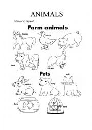 DOMESTIC ANIMALS