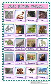 English Worksheet: At the zoo: pictionnary.