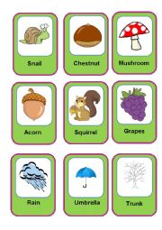 English Worksheet: Fall Flashcards